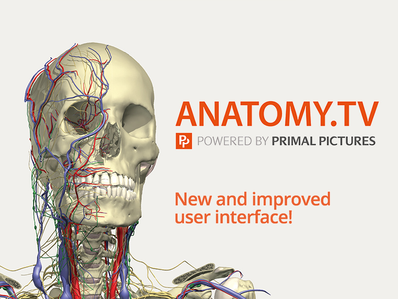 New trial e-database: Anatomy.TV: Anatomy & Physiology (upgrade version)